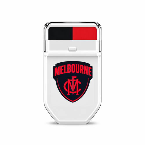 FANBRUSH Melbourne Demons AFL face paint stick