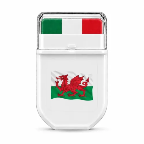 Wales flag FANBRUSH face paint stick in green, white and red